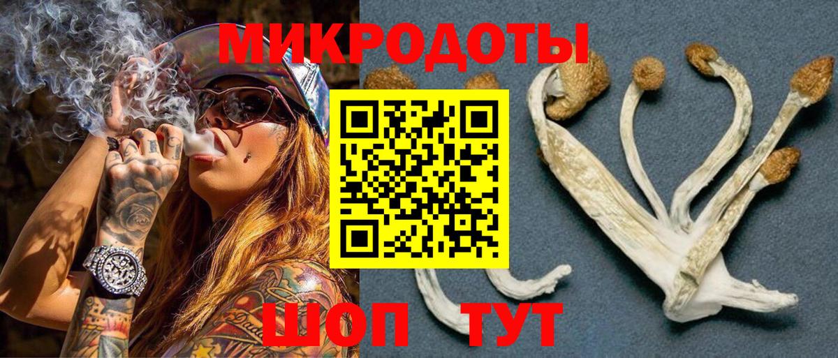 Псилоцибиновые грибы MAGIC MUSHROOMS  Вход с VPN  Петропавловск-Камчатский 